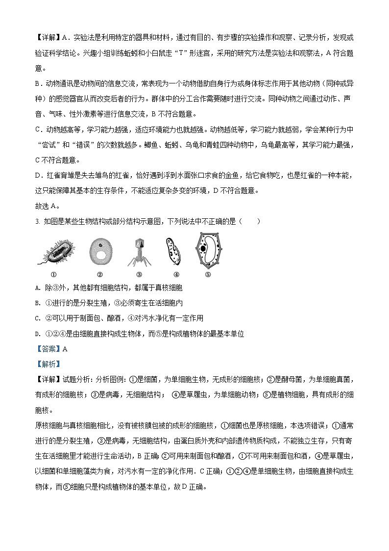 精品解析：2021年内蒙古呼和浩特市新城区中考二模生物试题（解析版+原卷版）02