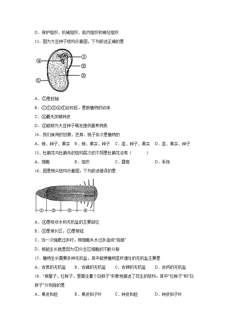 江苏省南京市联合体2020-2021学年七年级上学期期末生物试题（word版 含答案）第2页