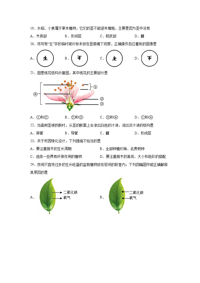 江苏省南京市联合体2020-2021学年七年级上学期期末生物试题（word版 含答案）第3页