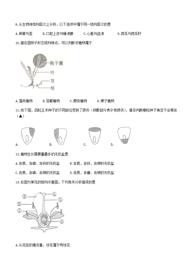 辽宁省锦州市2021-2022学年七年级上学期期末生物试题（word版 含答案）第2页