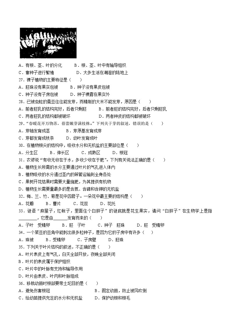 云南省德宏州梁河县2021-2022学年七年级上学期期末生物试题（word版 含答案）第3页