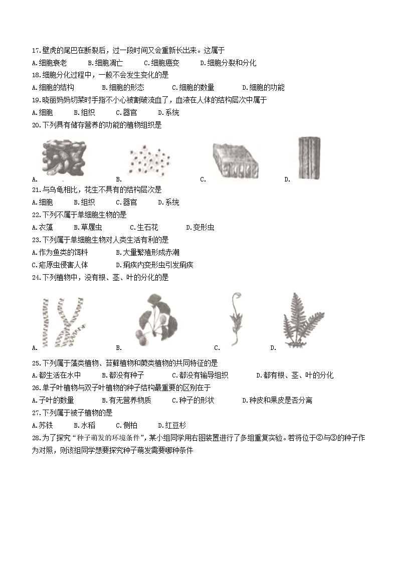 云南省红河州元阳县2021-2022学年七年级上学期期末生物试题（word版 含答案）第3页