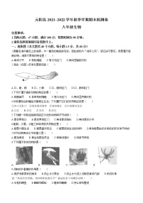 云南省红河州元阳县2021-2022学年八年级上学期期末生物试题（word版 含答案）