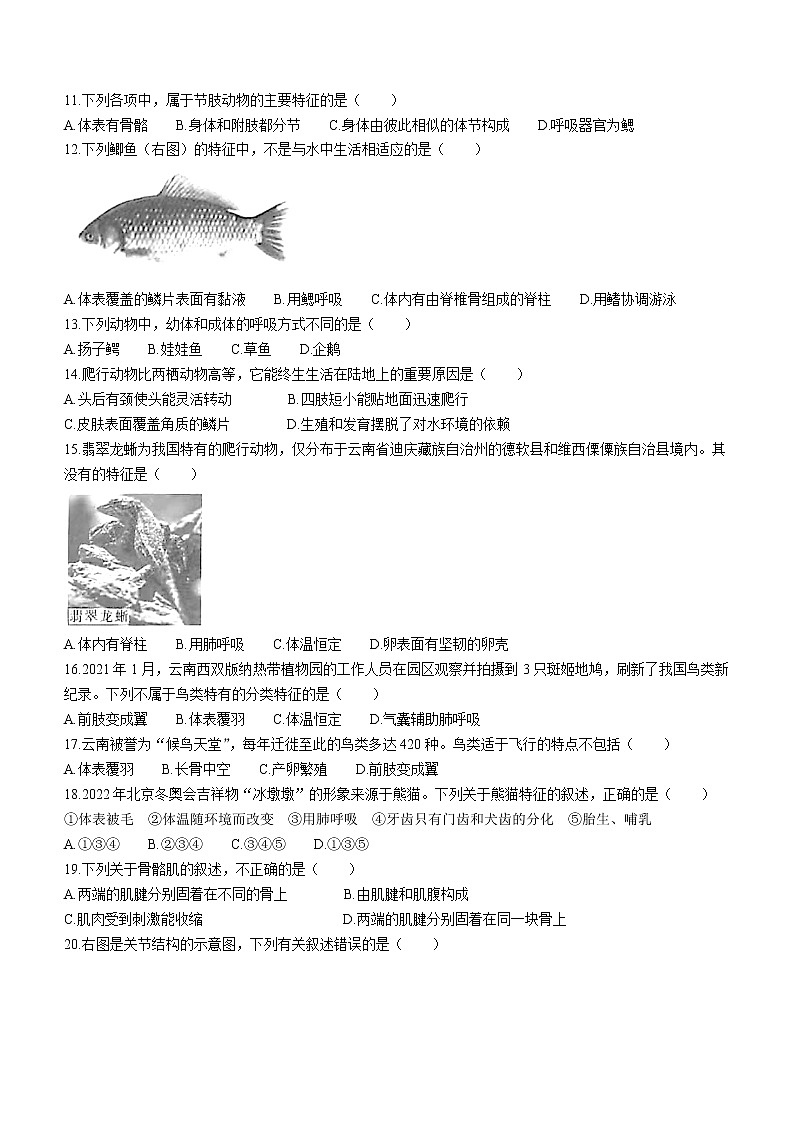 云南省红河州元阳县2021-2022学年八年级上学期期末生物试题（word版 含答案）02