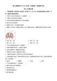 精品解析：2020年宁夏唐徕回民中学九年级下学期第二次模拟生物试题（解析版+原卷版）