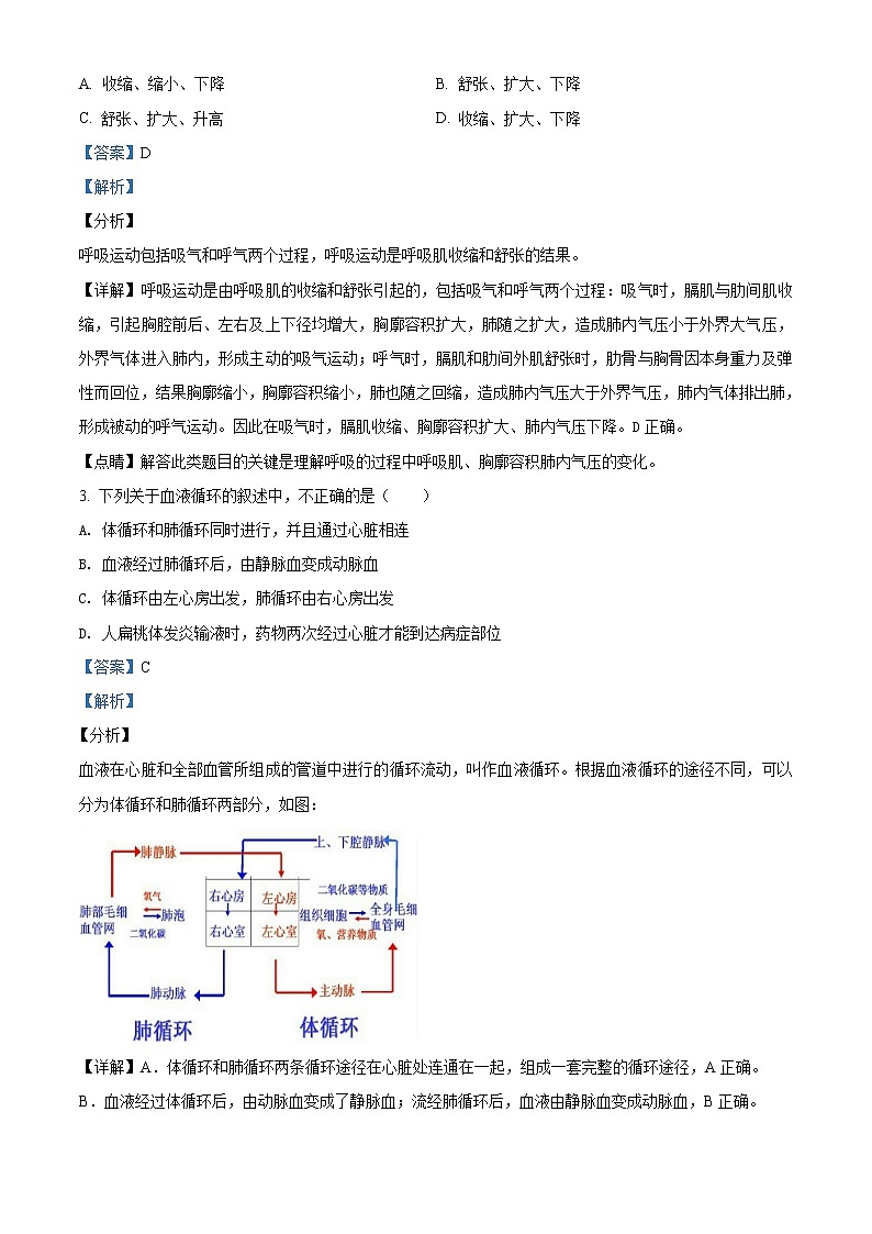 精品解析：2020年宁夏唐徕回民中学九年级下学期第二次模拟生物试题（解析版）第2页