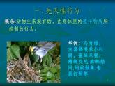 人教版八年级生物上册第二章第二节先天性行为和学习行为ppt课件