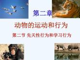 人教版八年级生物上先天性行为和学习行为ppt课件