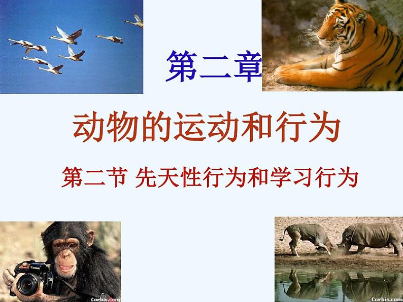 人教版八年级生物上先天性行为和学习行为ppt课件02