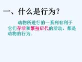 人教版八年级生物上先天性行为和学习行为ppt课件