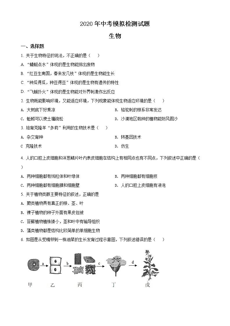 精品解析：2020年广西玉林市福绵区中考二模生物试题（解析版+原卷版）01