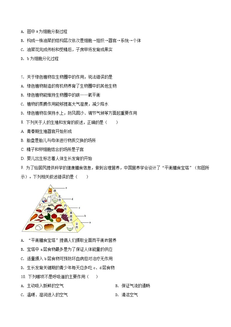 精品解析：2020年广西玉林市福绵区中考二模生物试题（解析版+原卷版）02