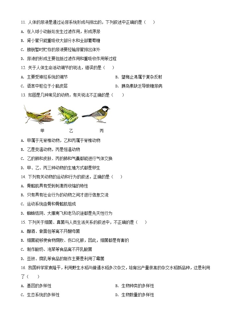 精品解析：2020年广西玉林市福绵区中考二模生物试题（解析版+原卷版）03