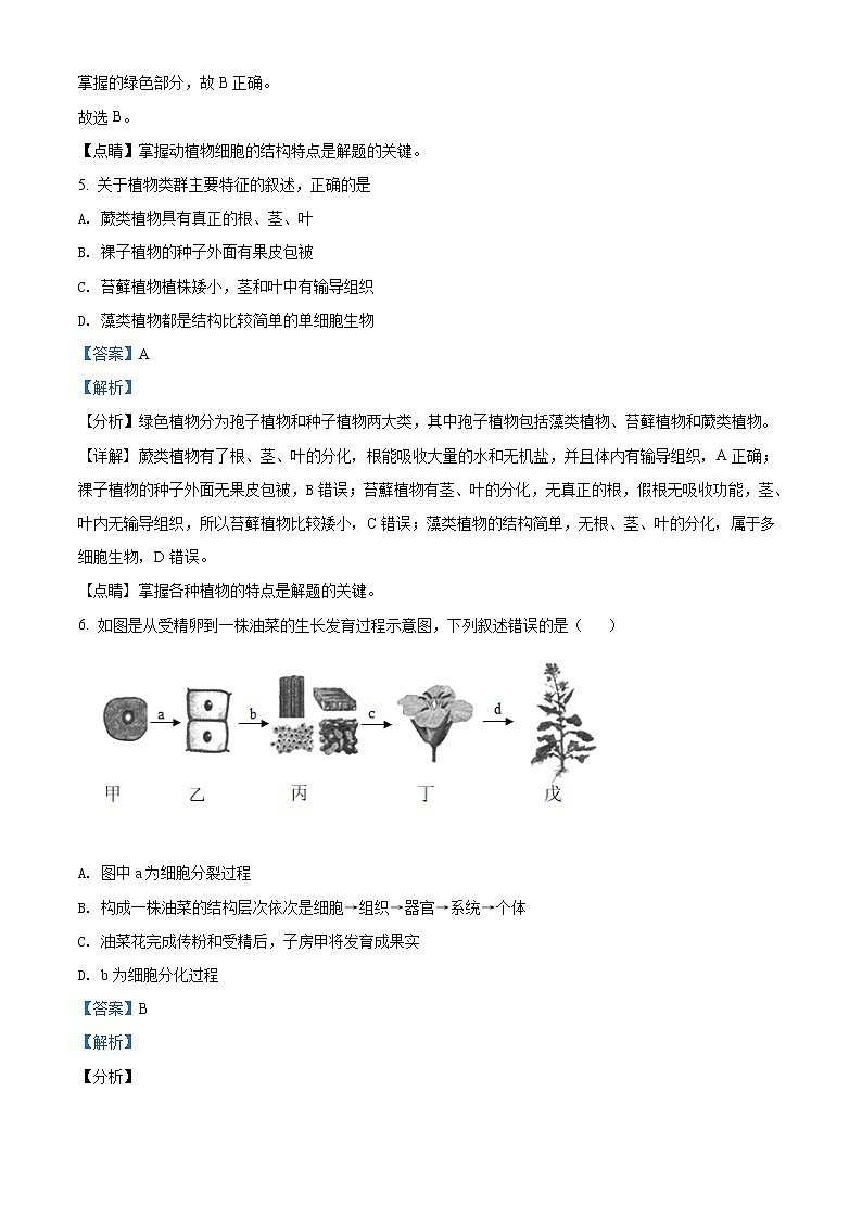 精品解析：2020年广西玉林市福绵区中考二模生物试题（解析版+原卷版）03