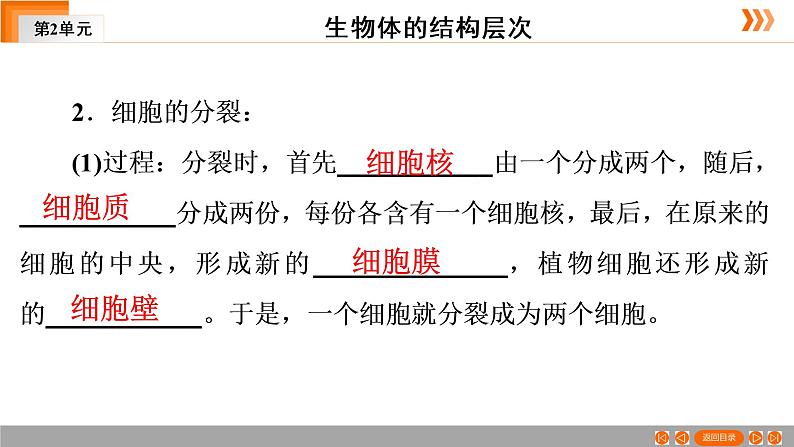 2021年中考广东专用生物一轮知识点复习第2单元 第4章　细胞怎样构成生物体   课件第7页