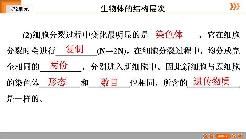 2021年中考广东专用生物一轮知识点复习第2单元 第4章　细胞怎样构成生物体   课件第8页