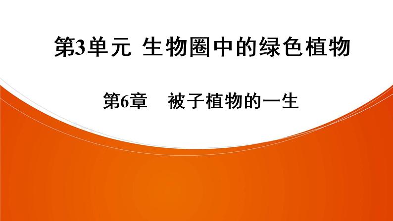 2021年中考广东专用生物一轮知识点复习第3单元 第6章　被子植物的一生 课件第1页