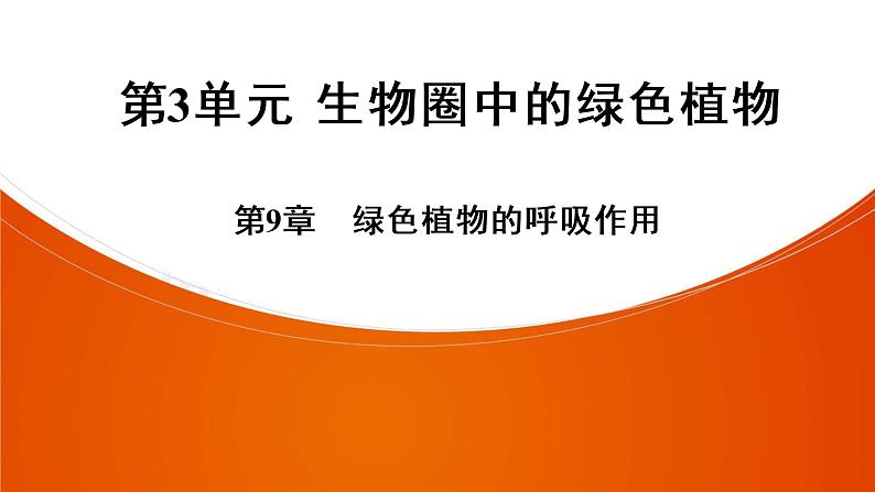 2021年 中考广东专用生物一轮知识点复习第3单元 第9章　绿色植物的呼吸作用   课件01