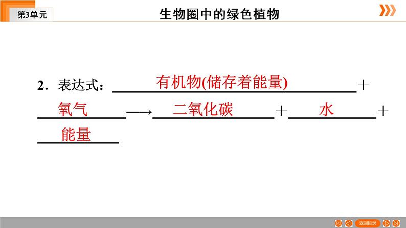 2021年 中考广东专用生物一轮知识点复习第3单元 第9章　绿色植物的呼吸作用   课件07