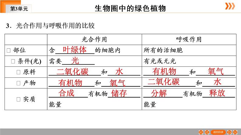 2021年 中考广东专用生物一轮知识点复习第3单元 第9章　绿色植物的呼吸作用   课件08