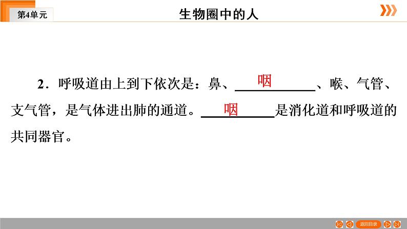 2021年中考广东专用生物一轮知识点复习第4单元 第12章　人体的呼吸   课件第7页