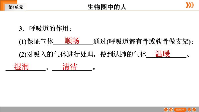 2021年中考广东专用生物一轮知识点复习第4单元 第12章　人体的呼吸   课件第8页