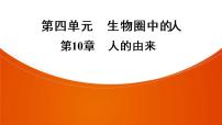 2021年中考广东专用生物一轮知识点复习第4单元 第10章　人的由来   课件