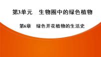 2021年中考广东专用生物知识点梳理复习第3单元 第6章　绿色开花植物的生活史  课件