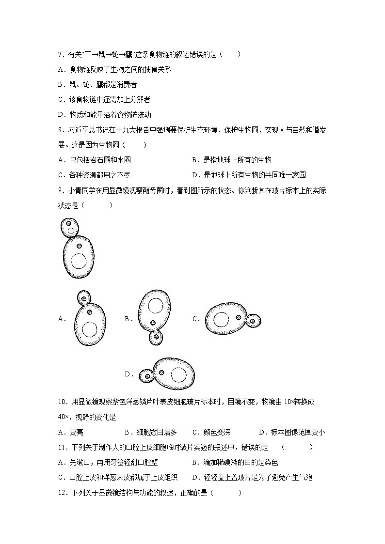 河北省保定市雄县2021-2022学年七年级上学期期中生物试题（word版 含答案）02