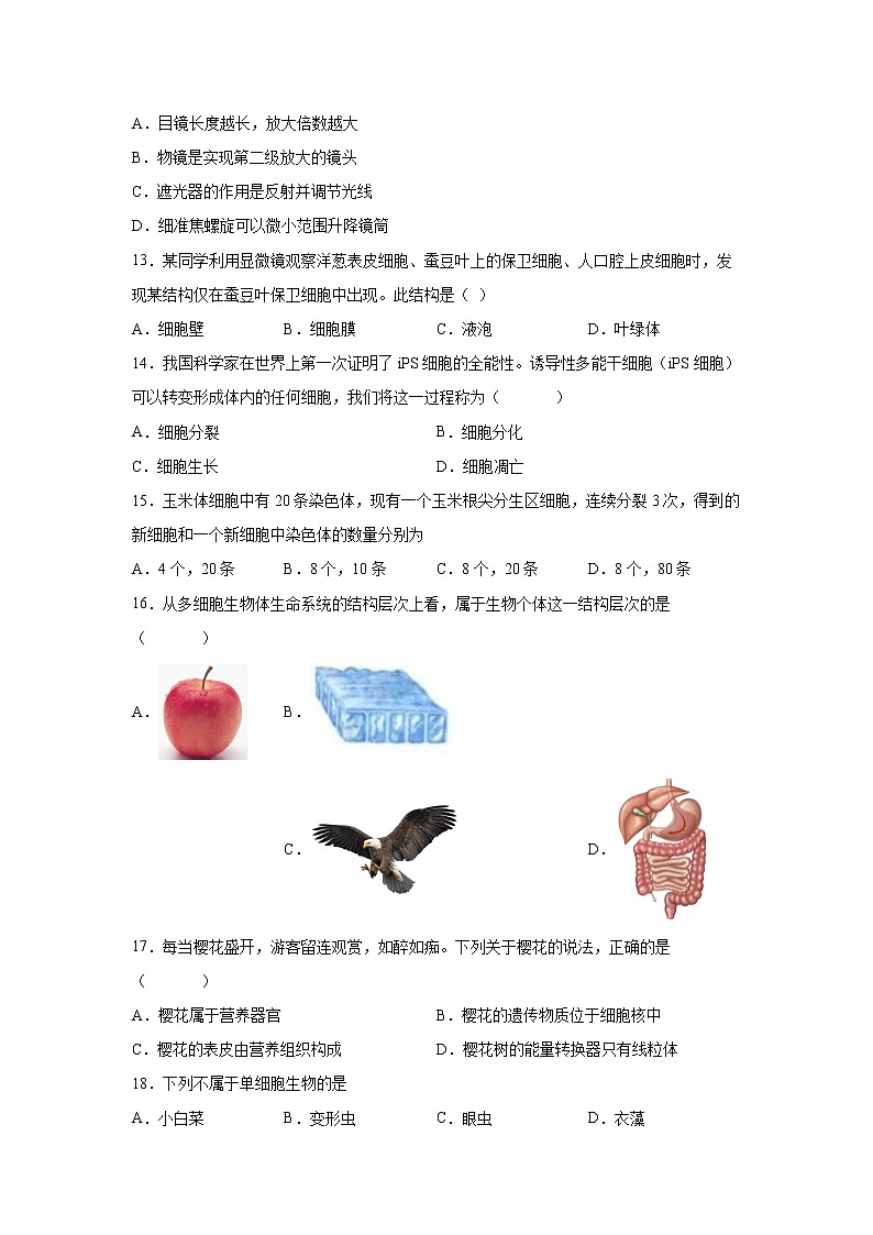 河北省保定市雄县2021-2022学年七年级上学期期中生物试题（word版 含答案）03
