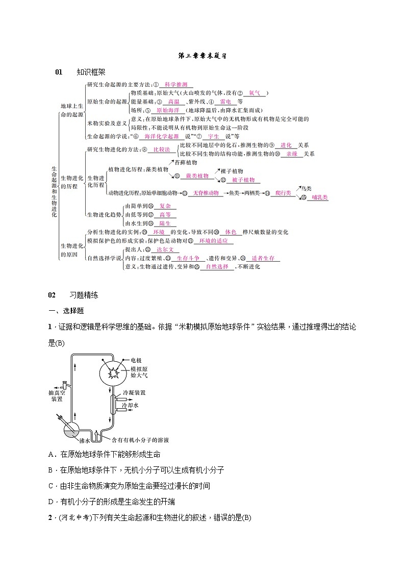 7.3生命起源和生物进化 章末复习 检测（知识点+基础+能力提升）2021-2022学年人教版八年级生物下册学案01