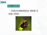 北师大版生物八下21.1《生命的起源》课件+教案+学案