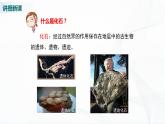 北师大版生物八下21.2《生物的进化》课件+教案+学案（一、二课时）