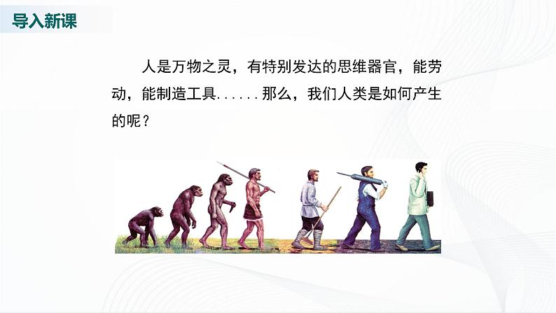 北师大版生物八下21.3《人类的起源与进化》课件+教案+学案02