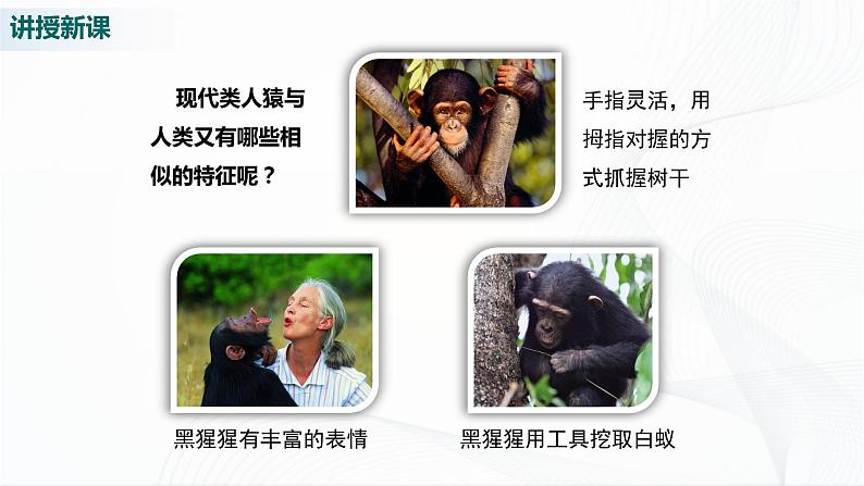 北师大版生物八下21.3《人类的起源与进化》课件+教案+学案05