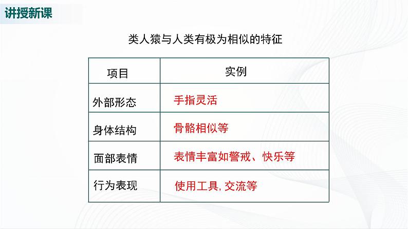 北师大版生物八下21.3《人类的起源与进化》课件+教案+学案07
