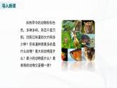 北师大版生物八下22.4《动物的主要类群》课件+教案+学案（一、二课时）