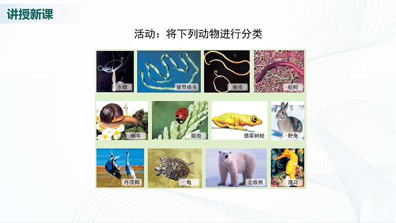 北师大版生物八下22.4《动物的主要类群》课件+教案+学案（一、二课时）04