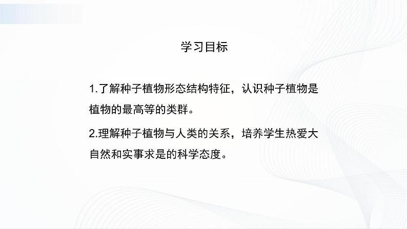 北师大版生物八下22.3《植物的主要类群》课件+教案+学案（一、二课时）03