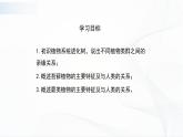 北师大版生物八下22.3《植物的主要类群》课件+教案+学案（一、二课时）
