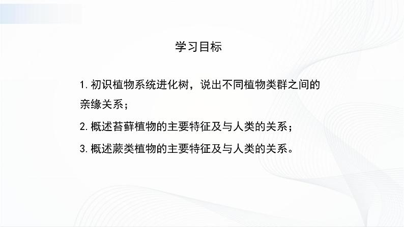 北师大版生物八下22.3《植物的主要类群》课件+教案+学案（一、二课时）03