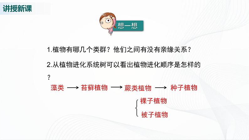 北师大版生物八下22.3《植物的主要类群》课件+教案+学案（一、二课时）05