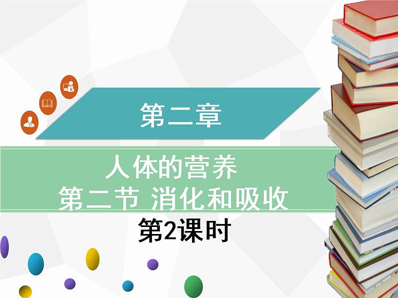 人教版生物七年级下册 第二章  消化和吸收（第2课时）七年级生物下册（人教版）课件PPT01