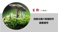 初中生物人教版 (新课标)七年级下册第四节 激素调节优秀ppt课件