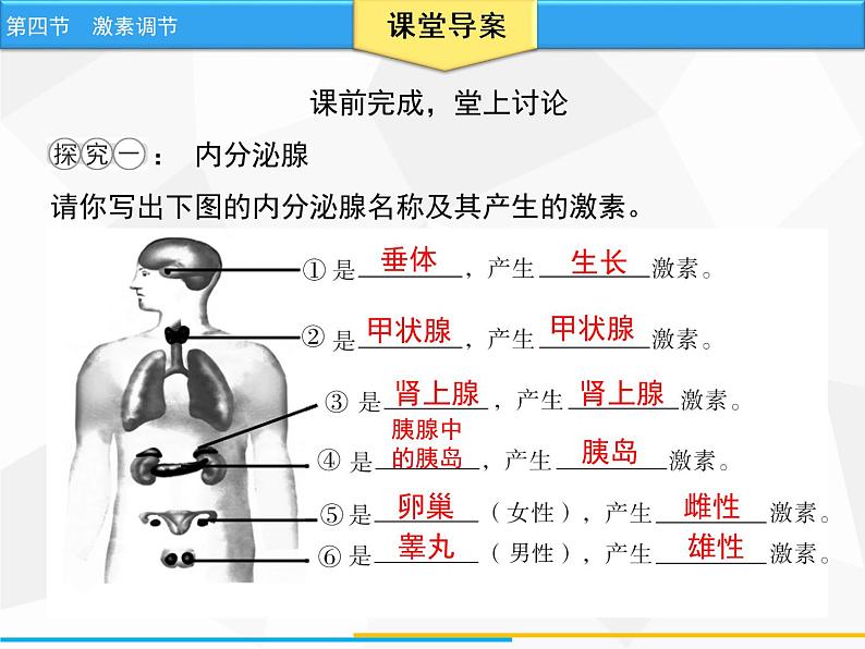 人教版生物七年级下册 第六章  激素调节（课件）七年级生物下册（人教版）第7页