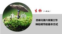 人教版 (新课标)七年级下册第三节 神经调节的基本方式优质ppt课件