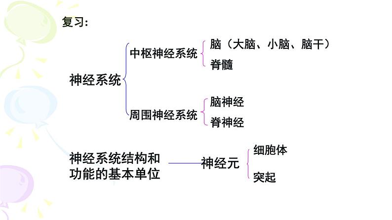 人教版生物七年级下册 第六章  神经调节的基本方式（课件）(人教版)（共25张PPT)第6页