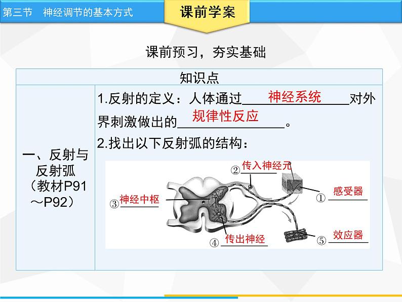 人教版生物七年级下册 第六章  神经调节的基本方式（课件）七年级生物下册（人教版）第4页