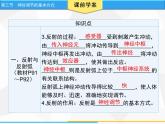 人教版生物七年级下册 第六章  神经调节的基本方式（课件）七年级生物下册（人教版）