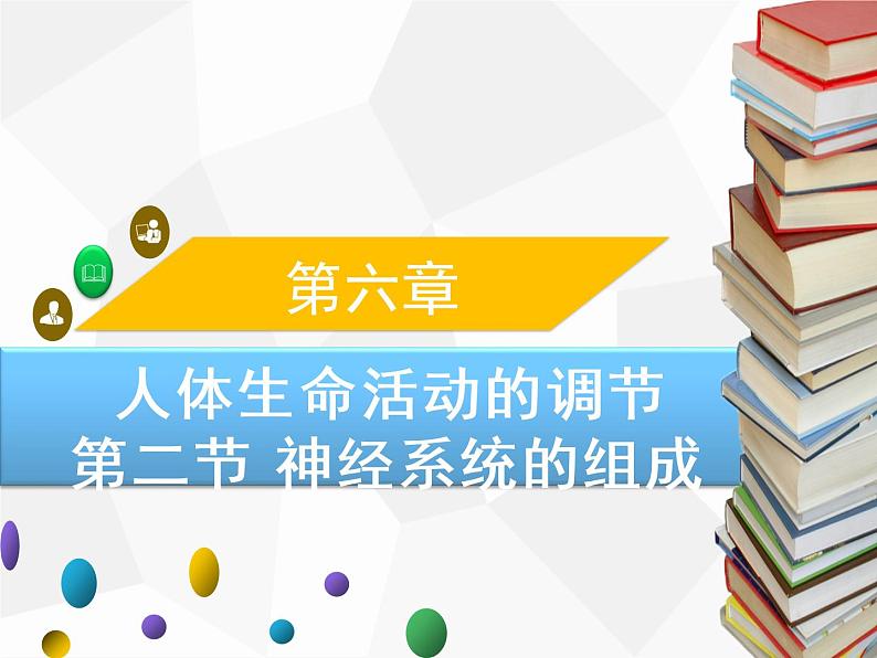 人教版生物七年级下册 第六章  神经系统的组成（课件）七年级生物下册（人教版）第1页